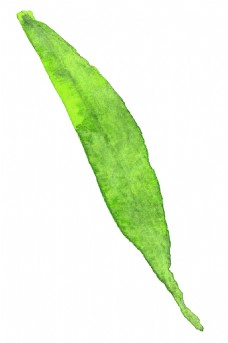 绿色柳叶图片免费下载,绿色柳叶设计素材大全,绿色,-.