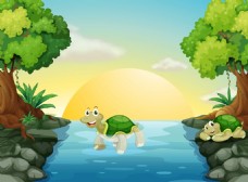 小河里的可爱的小乌龟插画