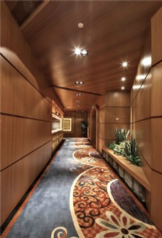 时尚室内走廊地毯效果图