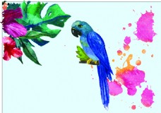 彩色水彩绘鹦鹉插画