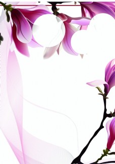 花朵花卉边框背景模版