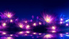 紫色神秘花朵炫光动态视频素材
