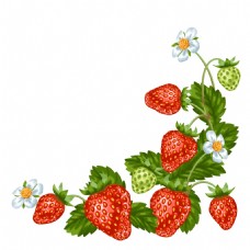 花叶新鲜美味的草莓插画