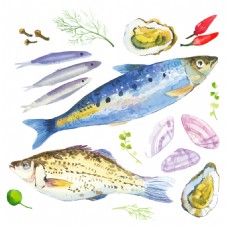食材海鲜清新水彩绘海鲜食材插画