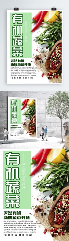 绿色蔬菜白色背景简约大气绿色有机蔬菜宣传海报