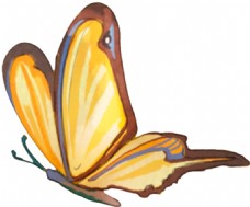 手绘黄色蝴蝶透明装饰图案