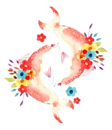 鱼类花卉卡通透明素材