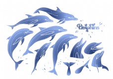 蓝色唯美海豚插画