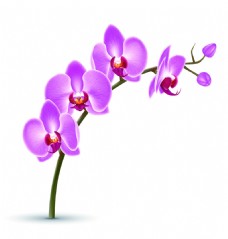 手绘紫色花朵卡通矢量素材