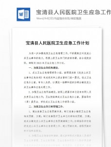 宝清县人民医院卫生应急工作计划2013