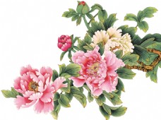 彩绘彩色手绘牡丹花朵图案素材