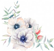白色花手绘白色茶花透明装饰图案