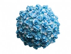 蓝色花团png元素素材