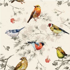 纸类精致风格手绘鸟类壁纸图案装饰设计