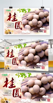 桂圆干货营养美食海报