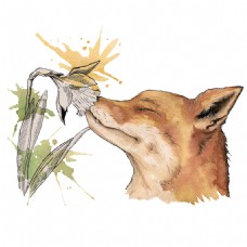 花卉与狐狸卡通透明素材