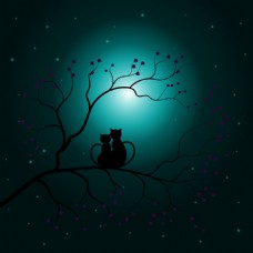 月光下浪漫的小猫插画