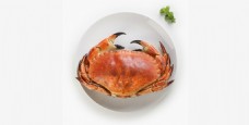 鲜味食物俯视图大闸蟹蟹黄美味食物蔬菜盘子河鲜