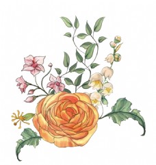 抠图专用立体水彩花卉透明装饰图案