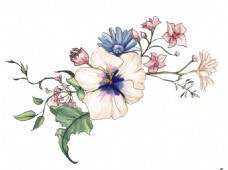 抠图专用白色优雅花卉透明装饰图案