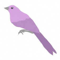 紫色小鸟卡通矢量素材
