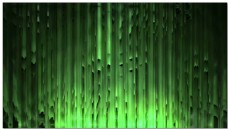 绿色丛林动态视频素材