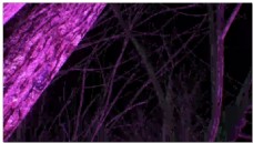 紫色流光动态视频素材