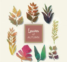 秋天手绘的树叶收集