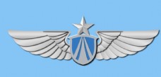其他设计空军胸标