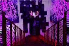 紫色室内楼梯背景墙装修效果图