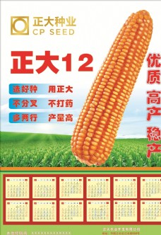 2021公司日历正大玉米种子招贴画墙报海报