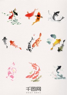 多彩鱼漂亮多彩水墨中国风鲤鱼