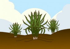 沙漠植物矢量素材