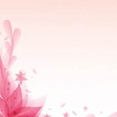 粉色花卉花朵素材背景
