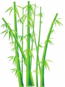 大自然手绘新鲜绿色竹子免抠png透明素材