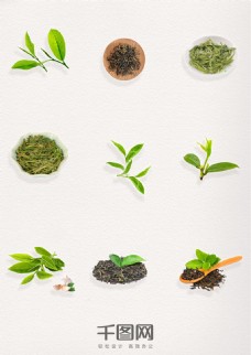 装饰品绿色叶子茶叶绿茶叶图案元素