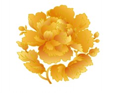 中国风高贵金色牡丹花朵图案