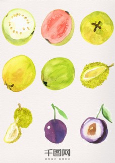 榴莲海报水彩植物水果素材