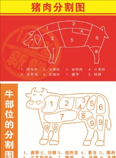 猪肉和牛肉分割图