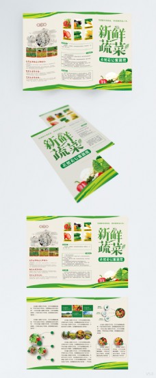 绿色新鲜蔬菜三折页设计