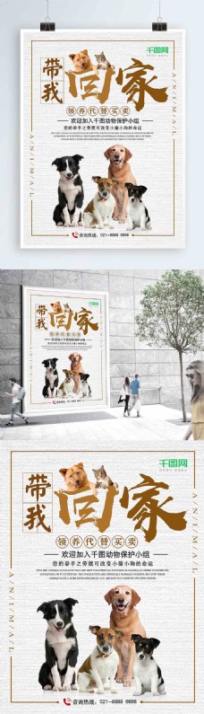 宠物狗关爱流浪动物宠物领养公益宣传海报