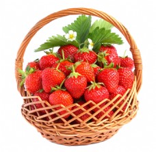 水果果实水果草莓竹篮绿色果实食物