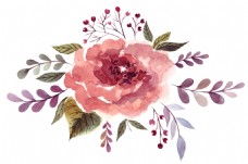 抠图专用卡片花卉透明装饰素材