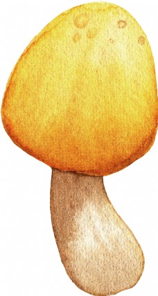 黄色菌菇透明装饰素材