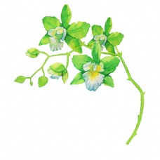 抠图专用绿色渐变花卉透明装饰素材