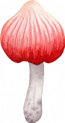 红色蘑菇透明装饰素材