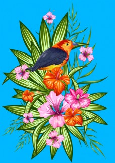 热带植物和小鸟插画