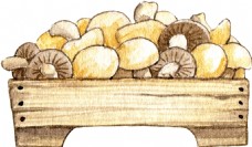 抠图专用菌菇类食物透明装饰素材