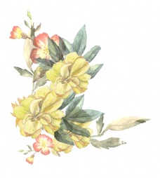 素雅鲜花黄色优雅鲜花透明素材