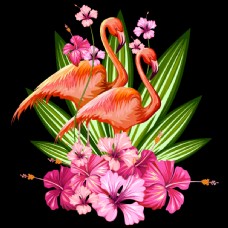 艳丽的花朵和仙鹤插画